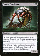 Spinal Centipede