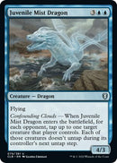 Juvenile Mist Dragon