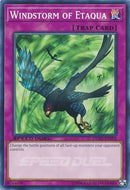 Windstorm of Etaqua [DEM5-EN010] Common