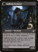 Shady Traveler (Back)