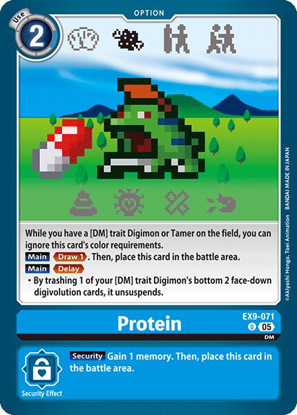 Protein