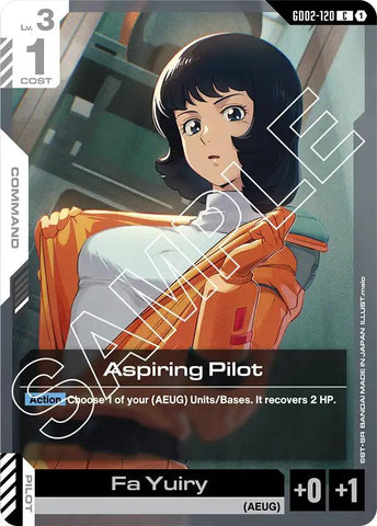 Aspiring Pilot
