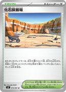 Fossil Excavation Site