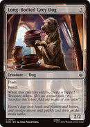 Long-Bodied Grey Dog