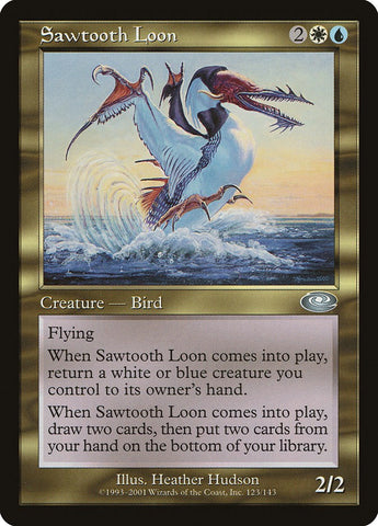Sawtooth Loon
