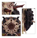 Sporocyst and Mucolid Spore