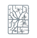 Nighthaunt Spirit hosts