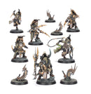 Sha'dar Hunters and Arthromite Spinewyrms