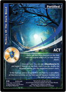 Mystery Of The Dark Wood (EOR-048) - NM